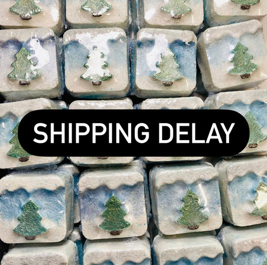 Shipping Delay December 2024