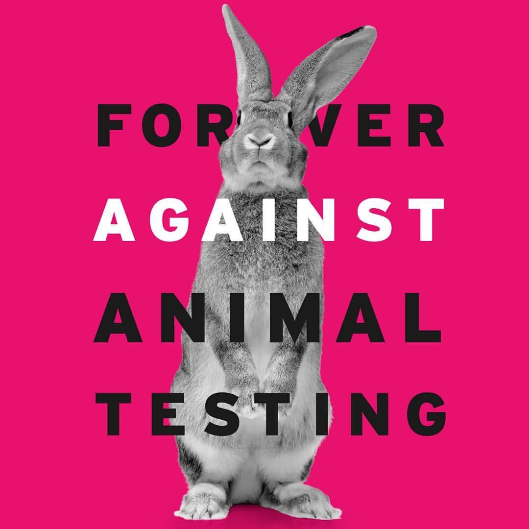 100% Cruelty Free Guaranteed! Myths and Facts about testing on animals in China!